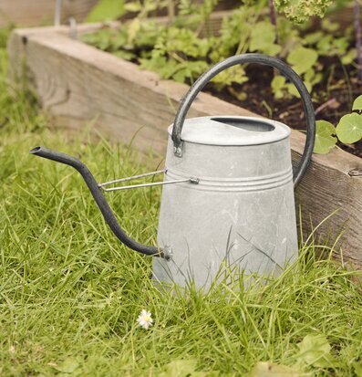 Foto: Grå vattenkanna i gräs vid odlingslåda i trädgård