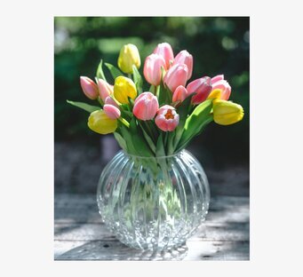 Foto: Tulpanbukett i räfflad glasvas i dagsljus