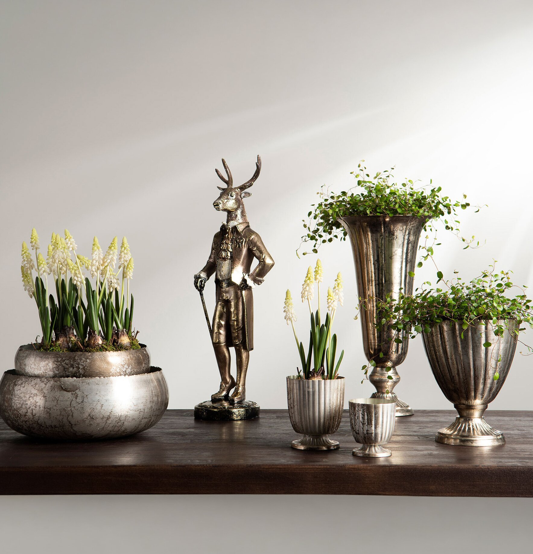 Kruka Rex Champagne A Lot Decoration Krukor Örtkrukor Glaskrukor