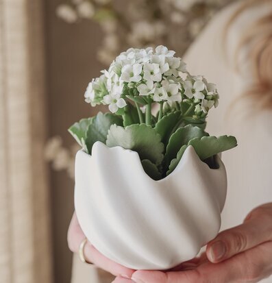 Majas Skal Stor - Cottage Krukor Örtkrukor Glaskrukor Övrig prydnad/dekoration för inredning innemiljö