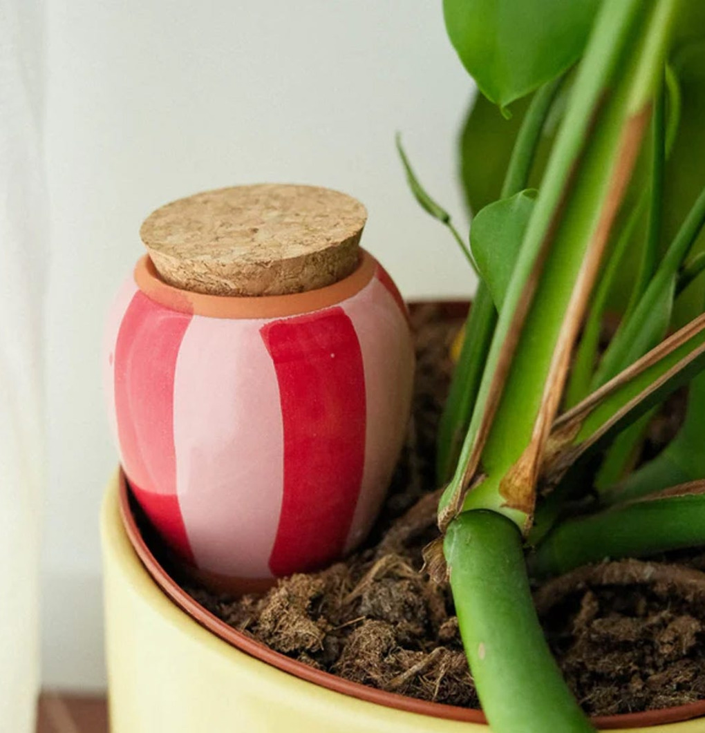 Bevattning Olla Röd/Rosa Pepin Självbevattnare Självbevattning Bevattningsglas Droppvattnare Droppbevattnare Droppbevattning