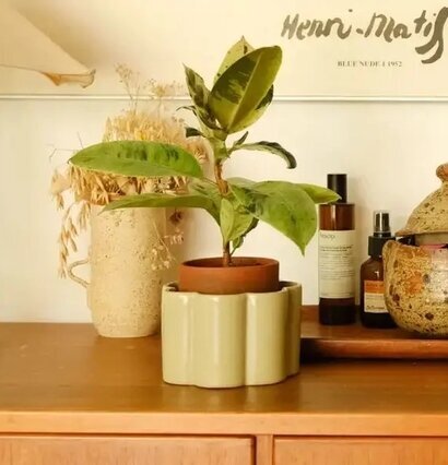 Självvattnande Kruka Salviagrön Pepin Krukor Örtkrukor Glaskrukor Självbevattnare Självbevattning Bevattningsglas Droppvattnare Droppbevattnare Droppbevattning