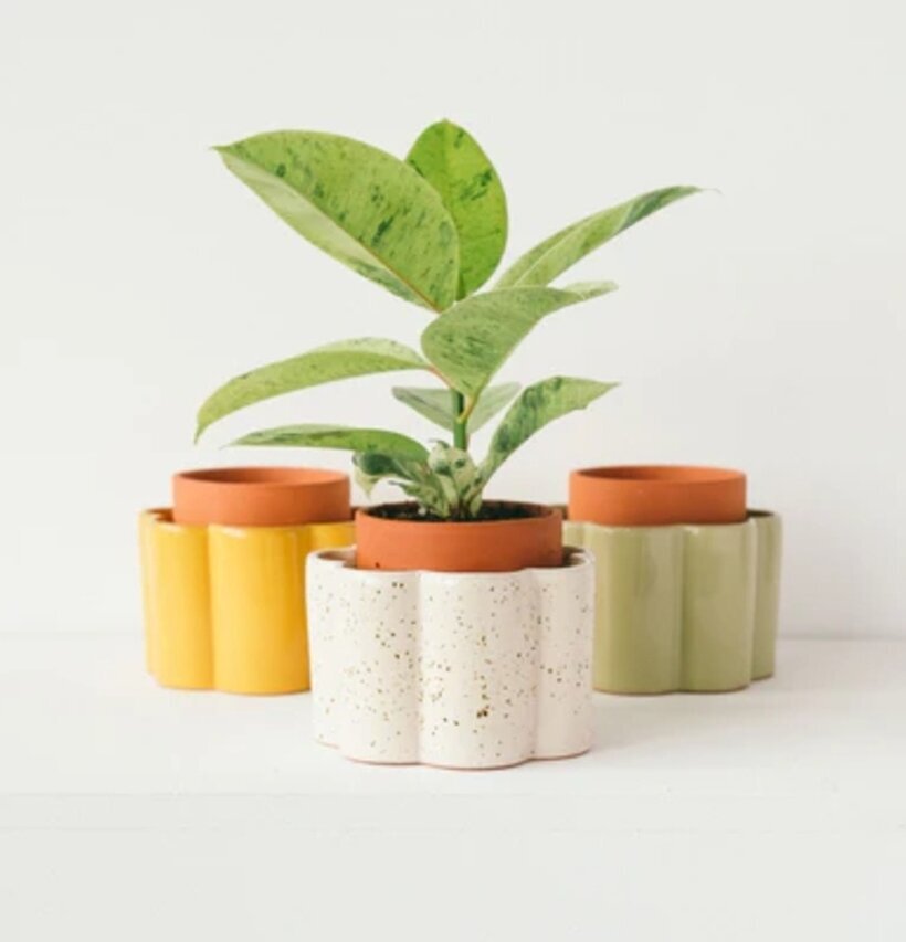 Självvattnande Kruka Salviagrön Pepin Krukor Örtkrukor Glaskrukor Självbevattnare Självbevattning Bevattningsglas Droppvattnare Droppbevattnare Droppbevattning