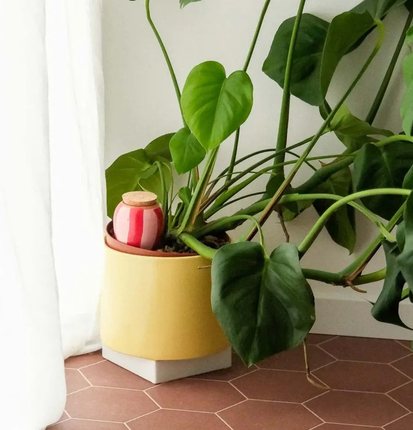 Bevattning Olla Röd/Rosa Pepin Självbevattnare Självbevattning Bevattningsglas Droppvattnare Droppbevattnare Droppbevattning