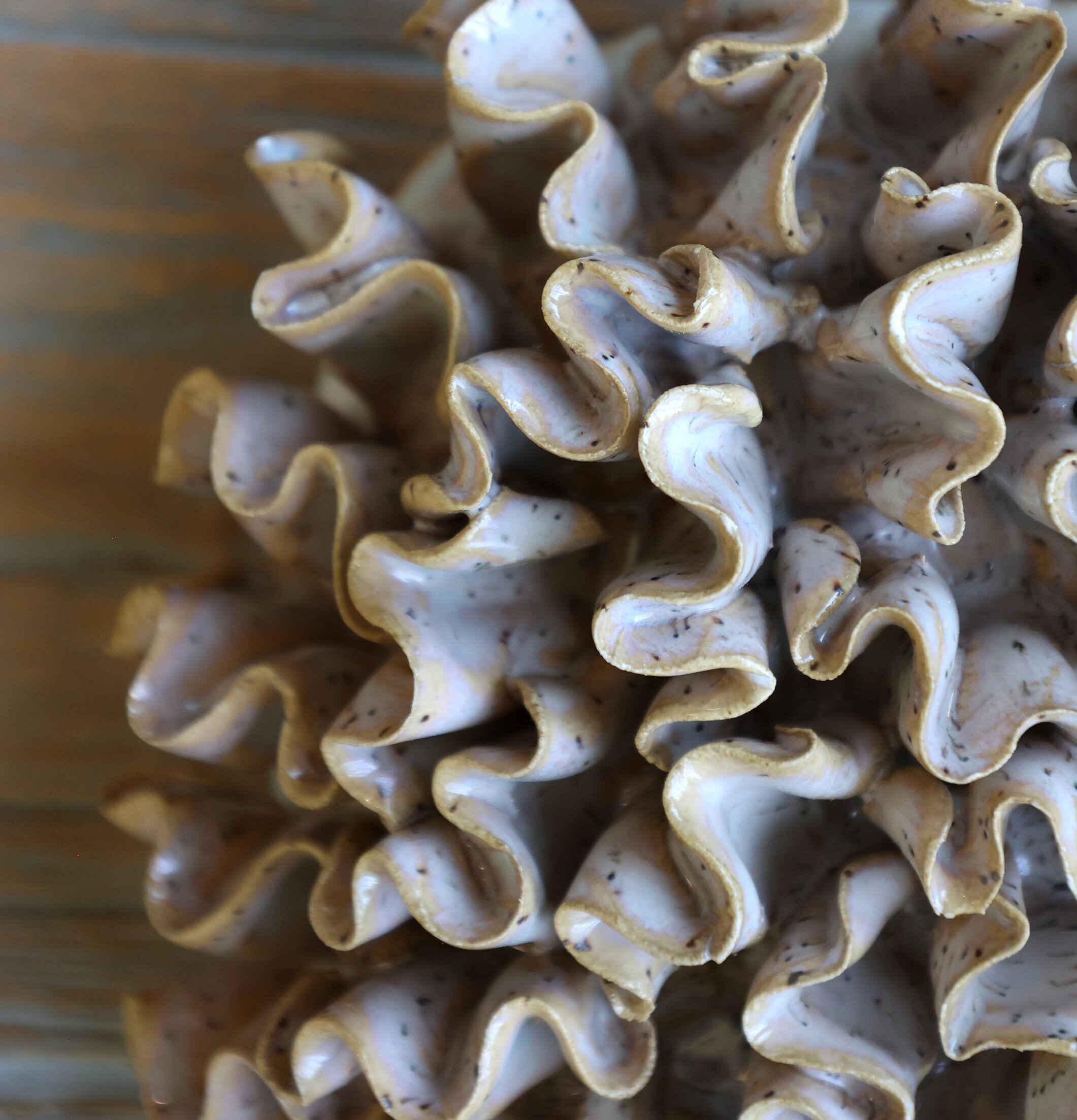 Dekoration Korall Latte Chic Antique Övrig prydnad/dekoration för inredning innemiljö