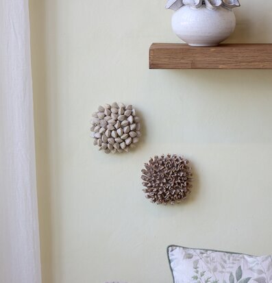 Dekoration Korall Latte Snäcka Chic Antique Övrig prydnad/dekoration för inredning innemiljö