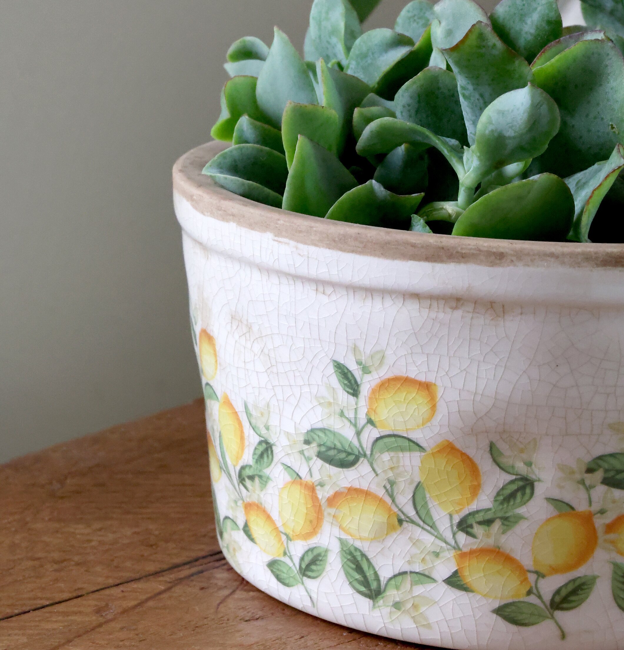 Kruka Limone Blossom Chic Antique Krukor Örtkrukor Glaskrukor