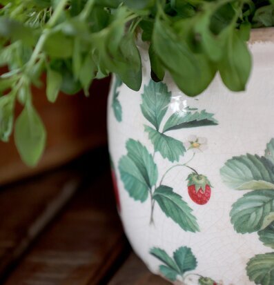 Fraises Kruka Jordgubbar Ø15,5cm Chic Antique Krukor Örtkrukor Glaskrukor