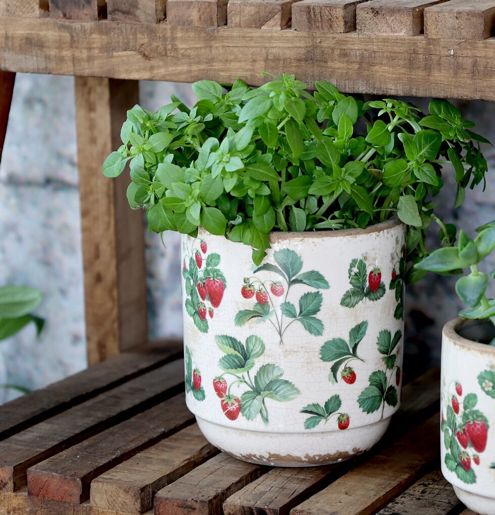 Fraises Kruka Jordgubbar Ø13cm Chic Antique Krukor Örtkrukor Glaskrukor