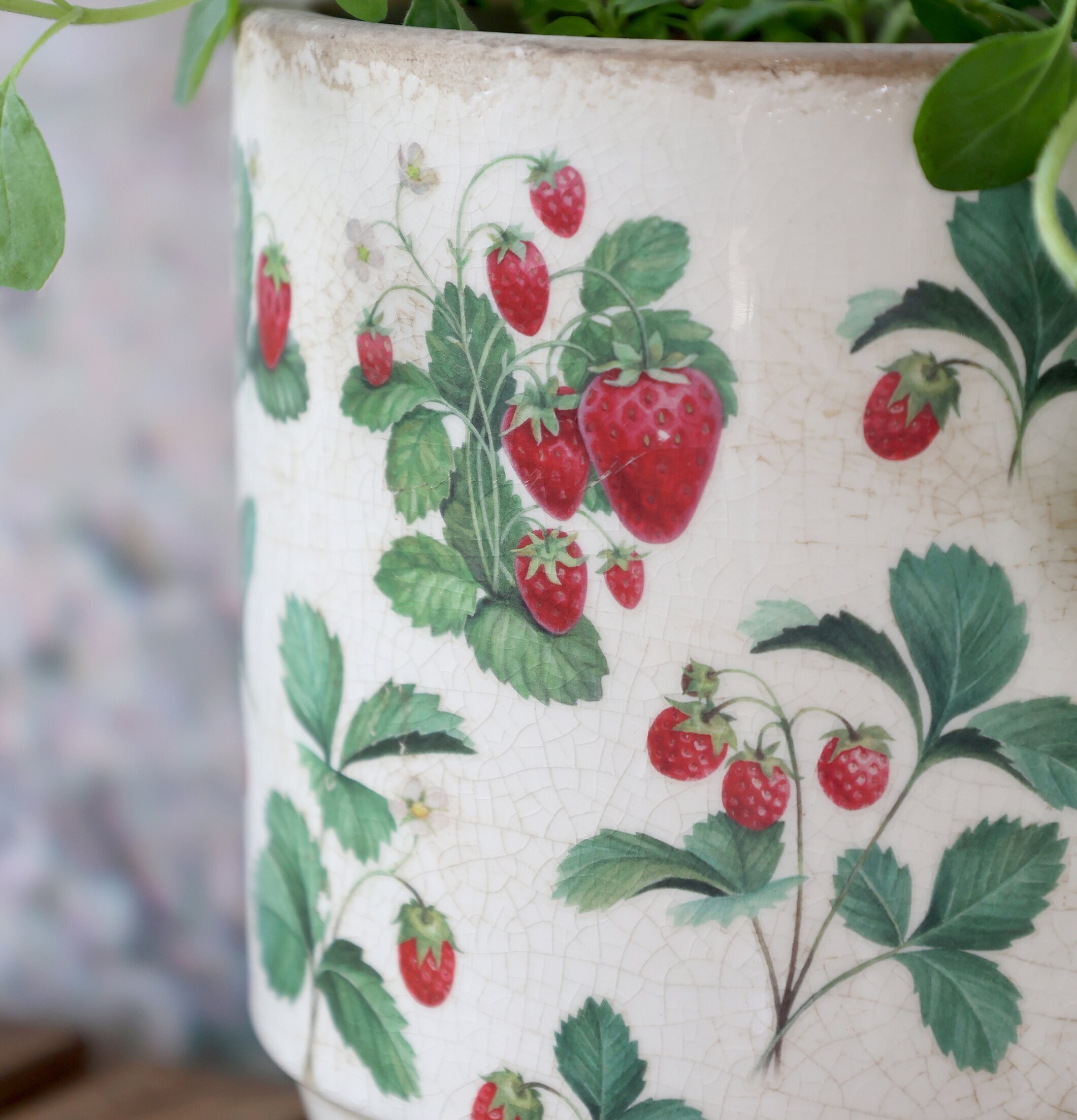 Fraises Kruka Jordgubbar Ø13cm Chic Antique Krukor Örtkrukor Glaskrukor