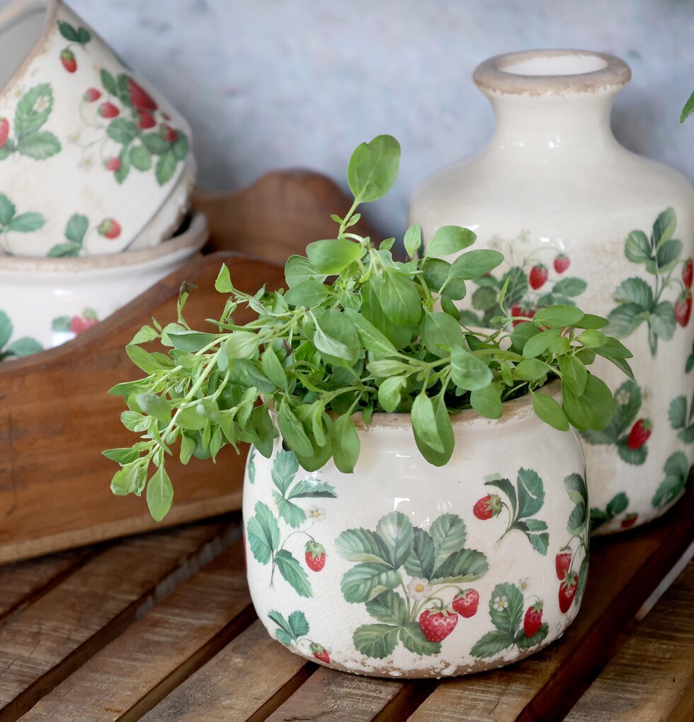 Fraises Kruka Jordgubbar Ø12cm Chic Antique Krukor Örtkrukor Glaskrukor