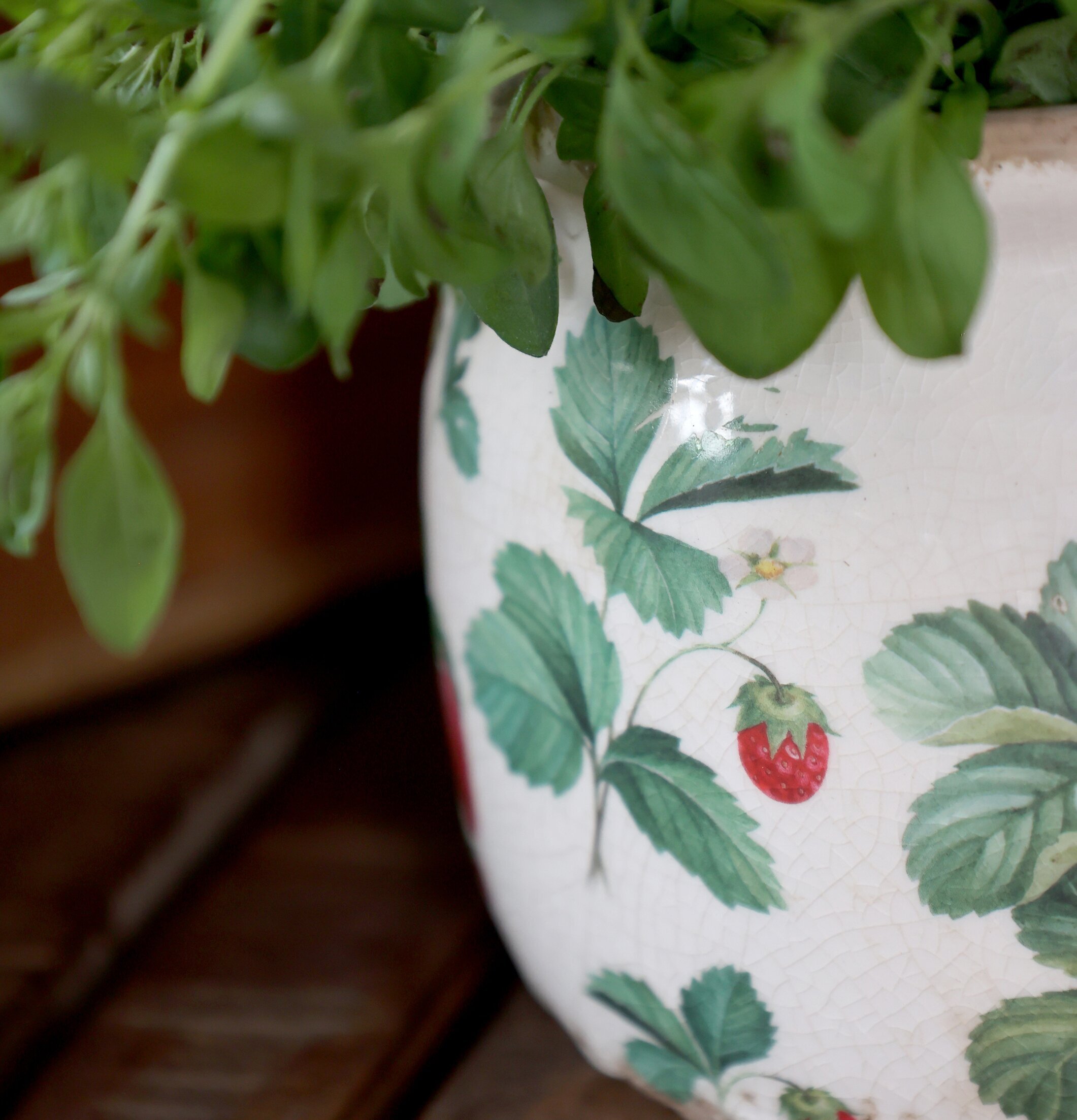 Fraises Kruka Jordgubbar Ø12cm Chic Antique Krukor Örtkrukor Glaskrukor