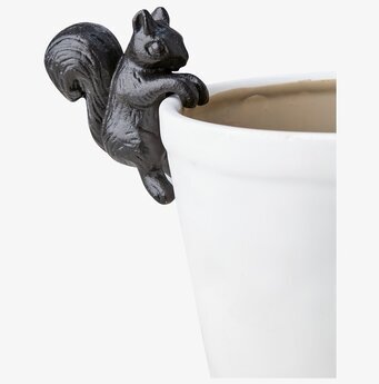 Foto: Svart ekorre som krukdekoration på vit kruka