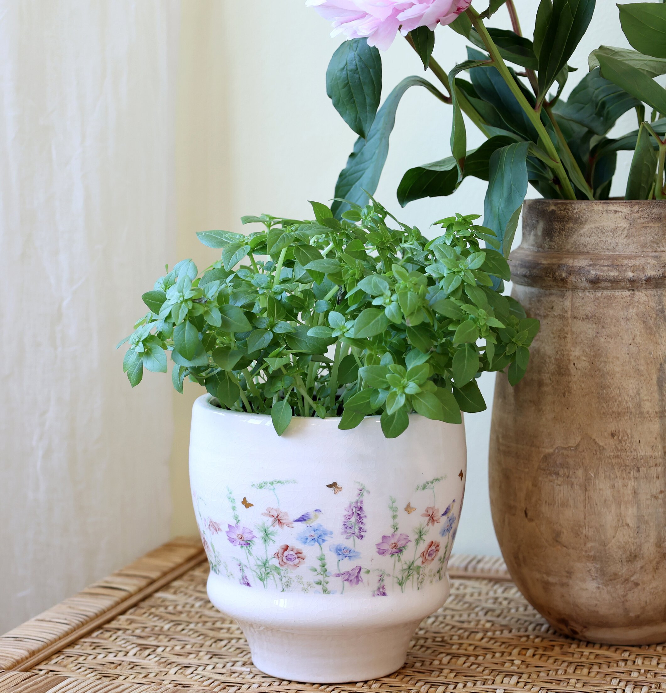 Papillon Kruka Blomster Chic Antique Krukor Örtkrukor Glaskrukor