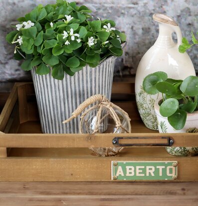 Foto: Stillben med trälåda, glasflöte och växter