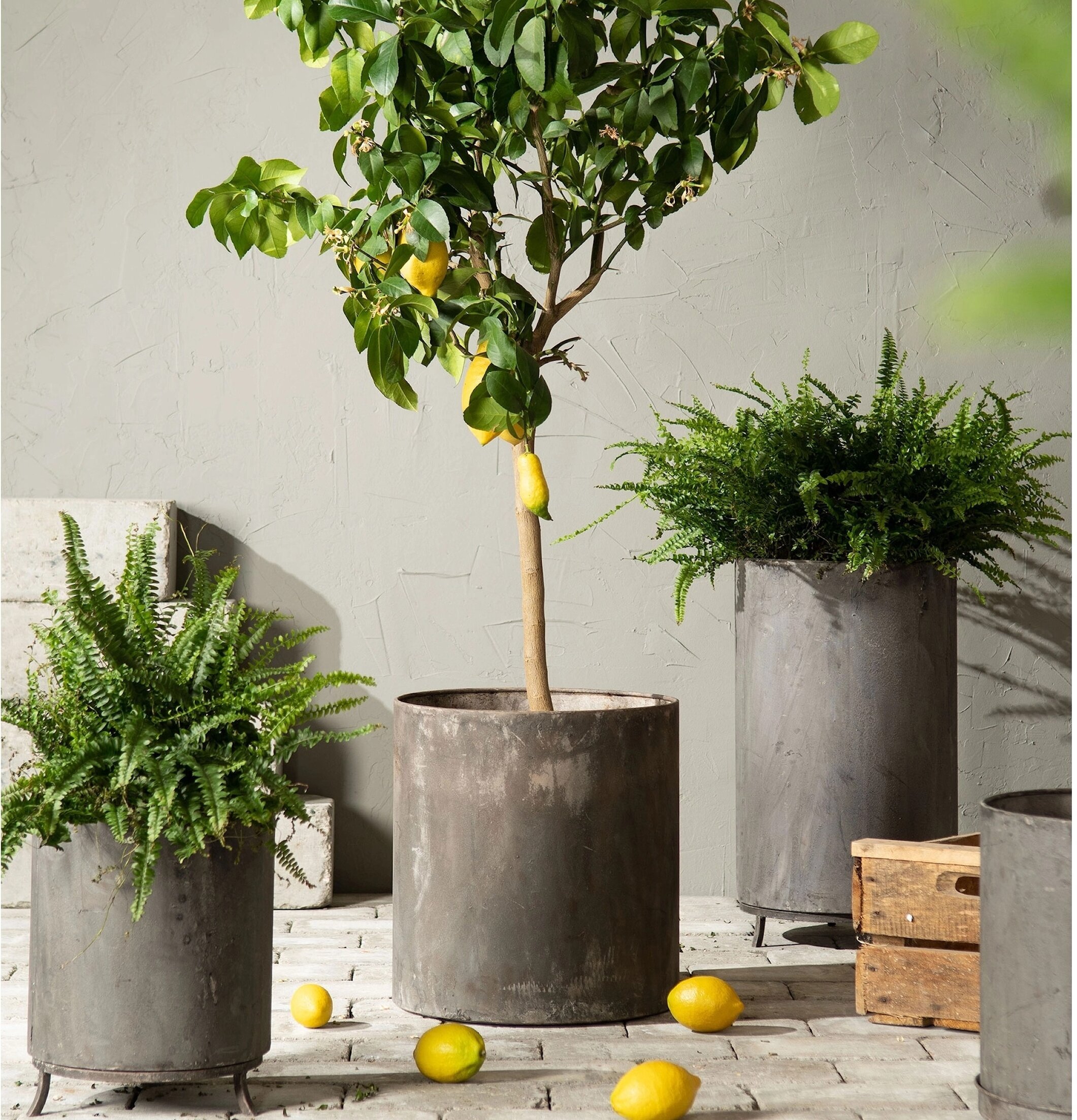 Kruka Utomhus Metall A Lot Decoration Krukor Örtkrukor Glaskrukor