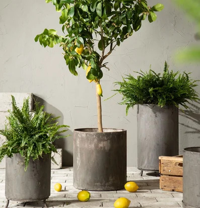 Kruka Låg Utomhus Metall A Lot Decoration Krukor Örtkrukor Glaskrukor