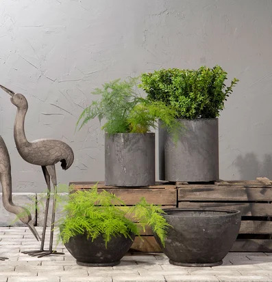 Kruka Låg Utomhus Metall A Lot Decoration Krukor Örtkrukor Glaskrukor