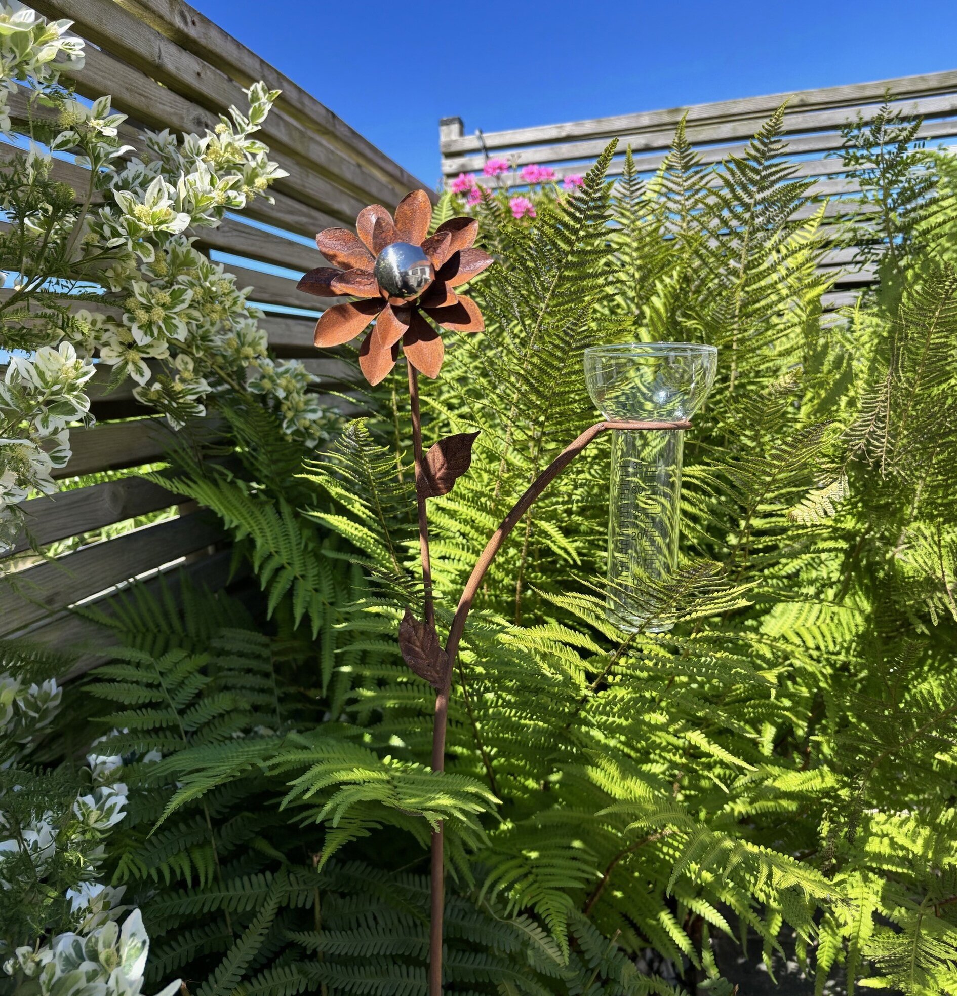 Regnmätare Blomma med silverklot Lind Decoration