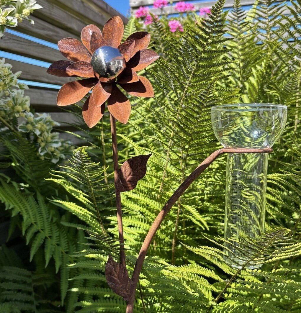 Regnmätare Blomma med silverklot Lind Decoration