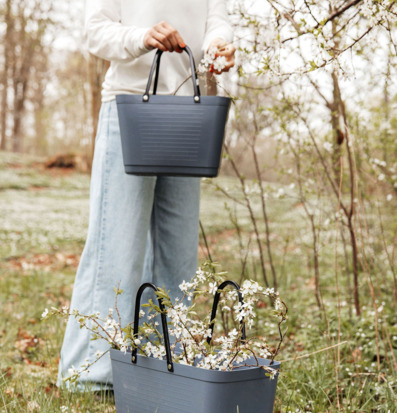 Foto: Duvblå liten bärkasse bland vårblommor i gräs