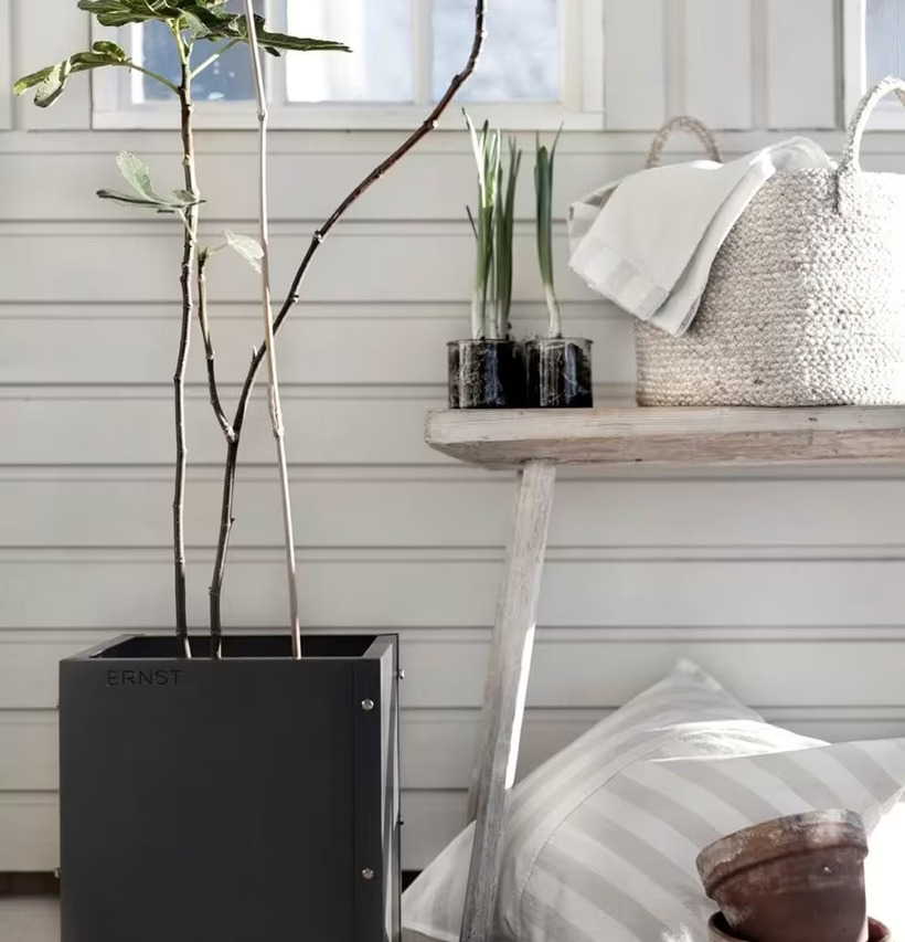 Plåtkruka ERNST Grå från Ernst med växt på ljust trägolv