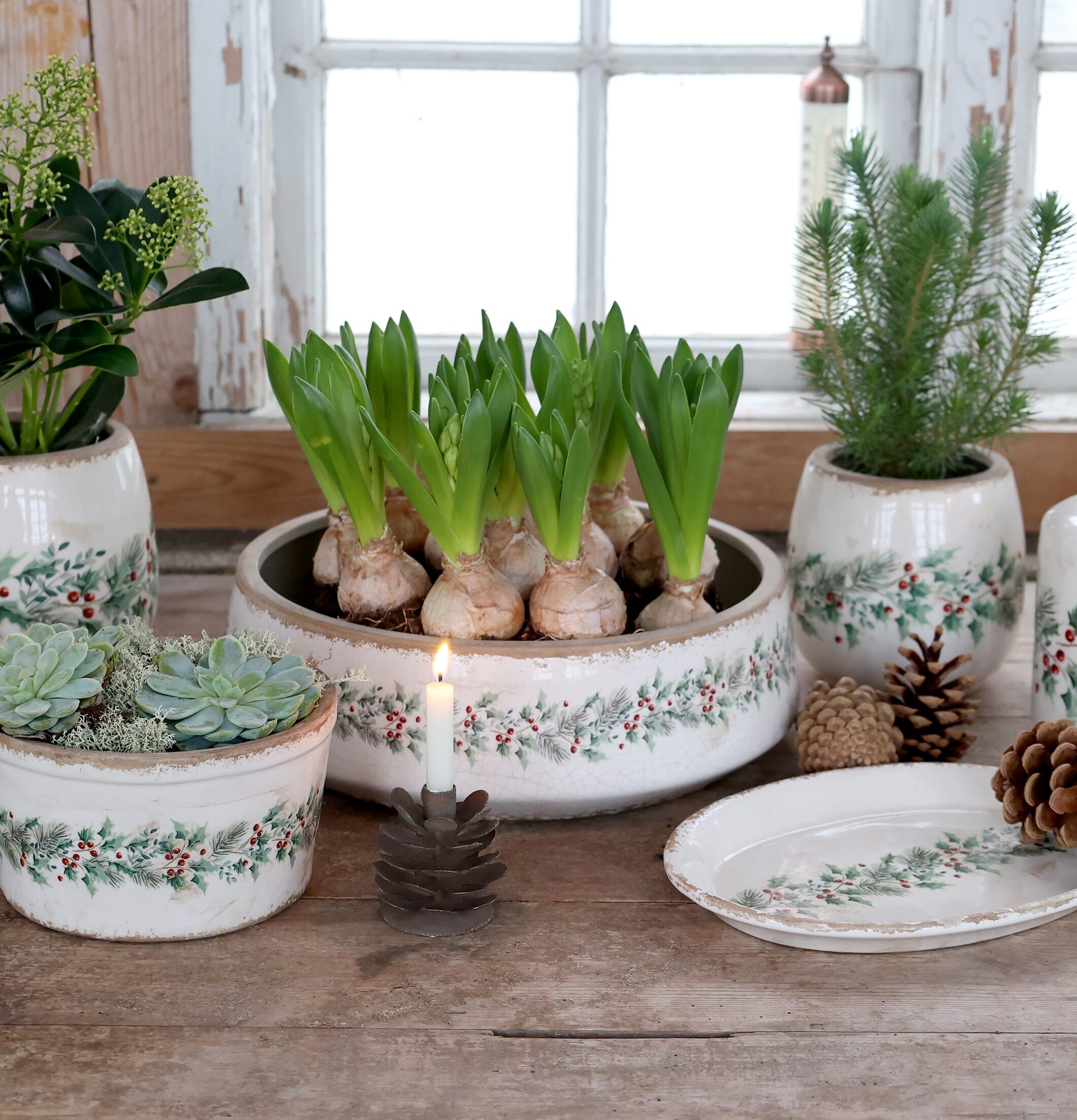 Ytterkruka Järnek Creme 16,5 cm Chic Antique Krukor Örtkrukor Glaskrukor