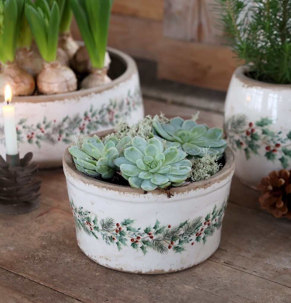 Låg Kruka Järnek Creme Ø16,5 cm Chic Antique Krukor Örtkrukor Glaskrukor