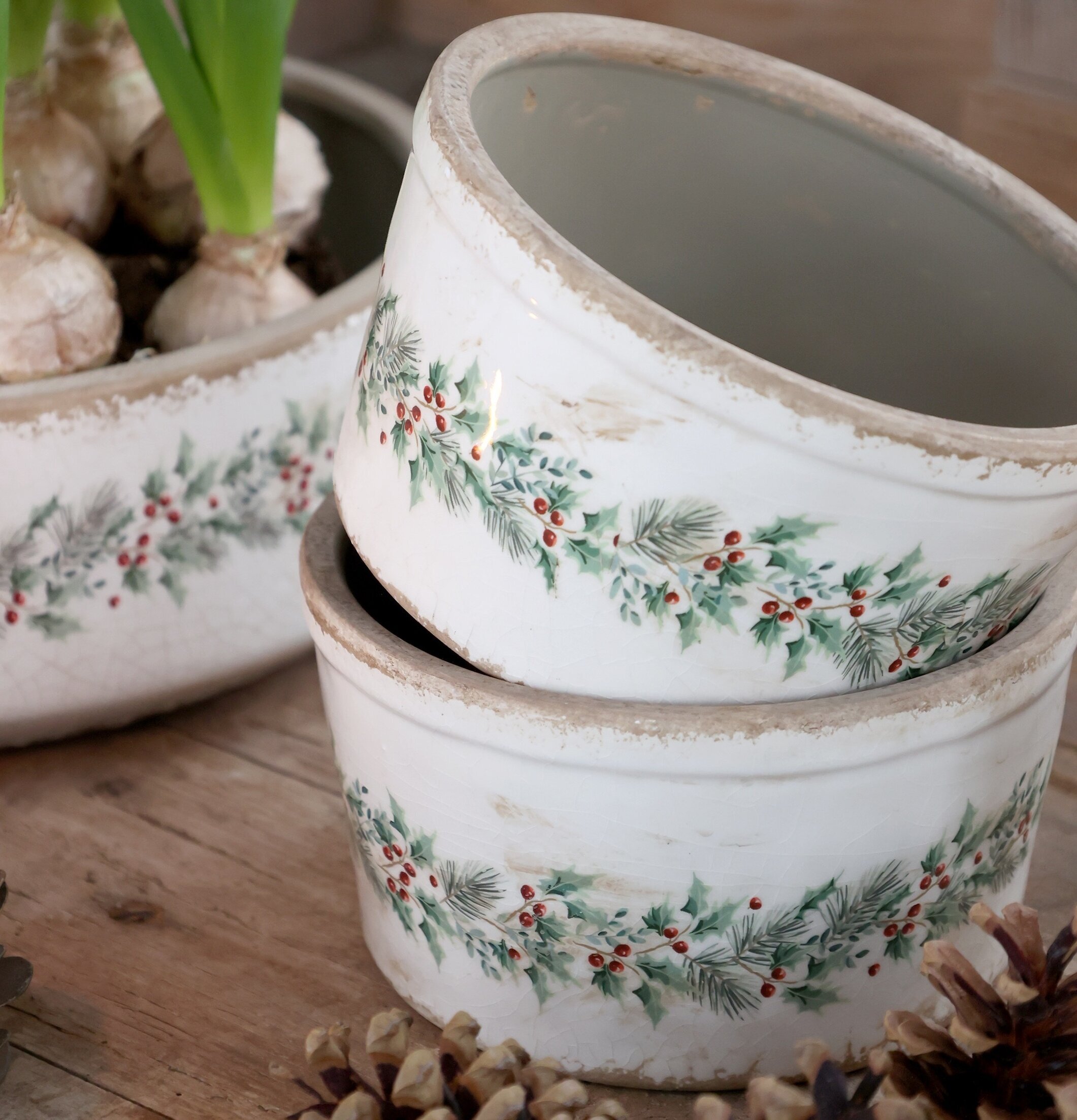 Låg Kruka Järnek Creme Ø16,5 cm Chic Antique Krukor Örtkrukor Glaskrukor