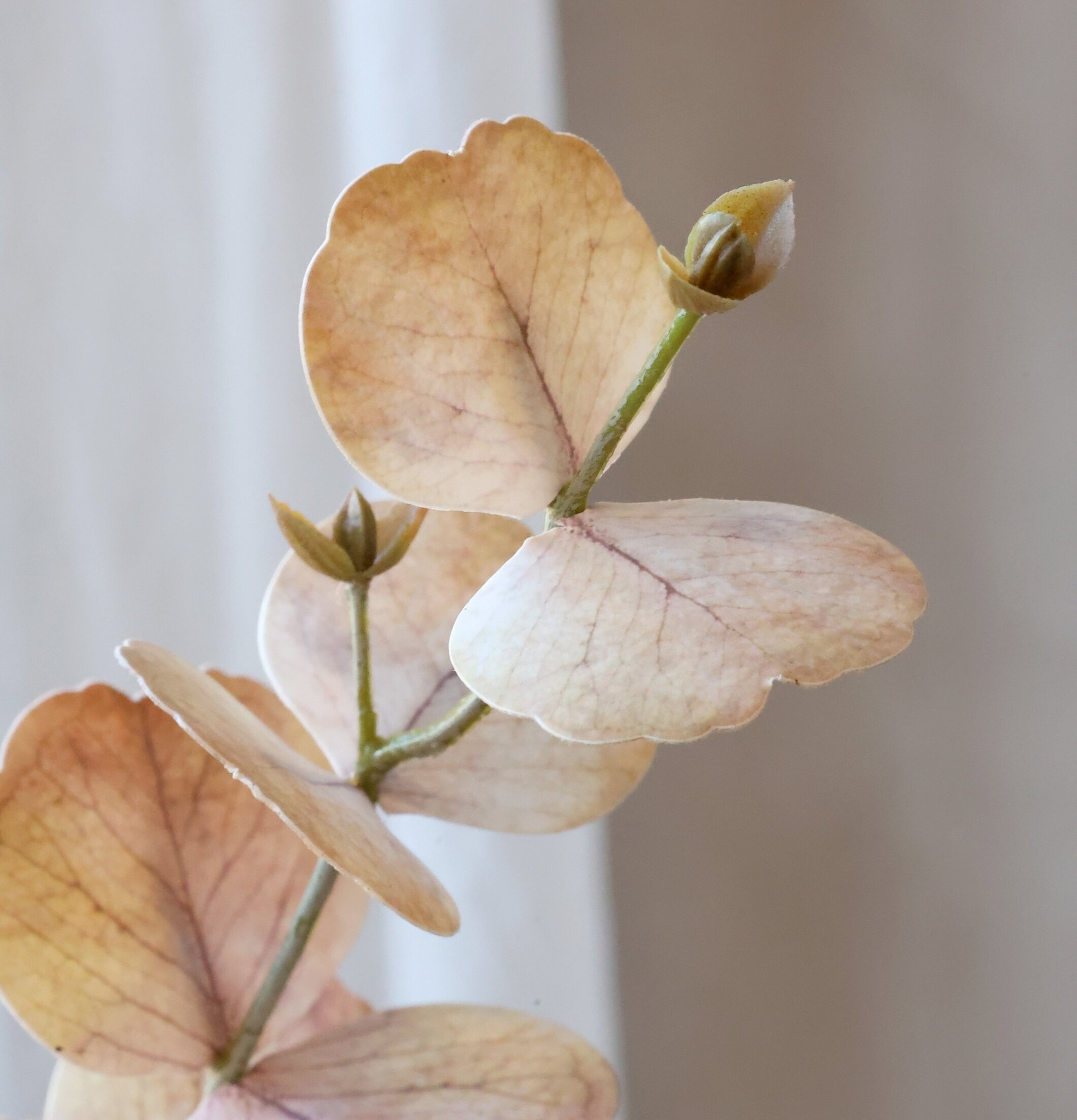 Fleur Eukalyptus Silk Touch Dusty Rose 77 cm Chic Antique Konstväxter Konstblommor Plastväxter Plastblommor