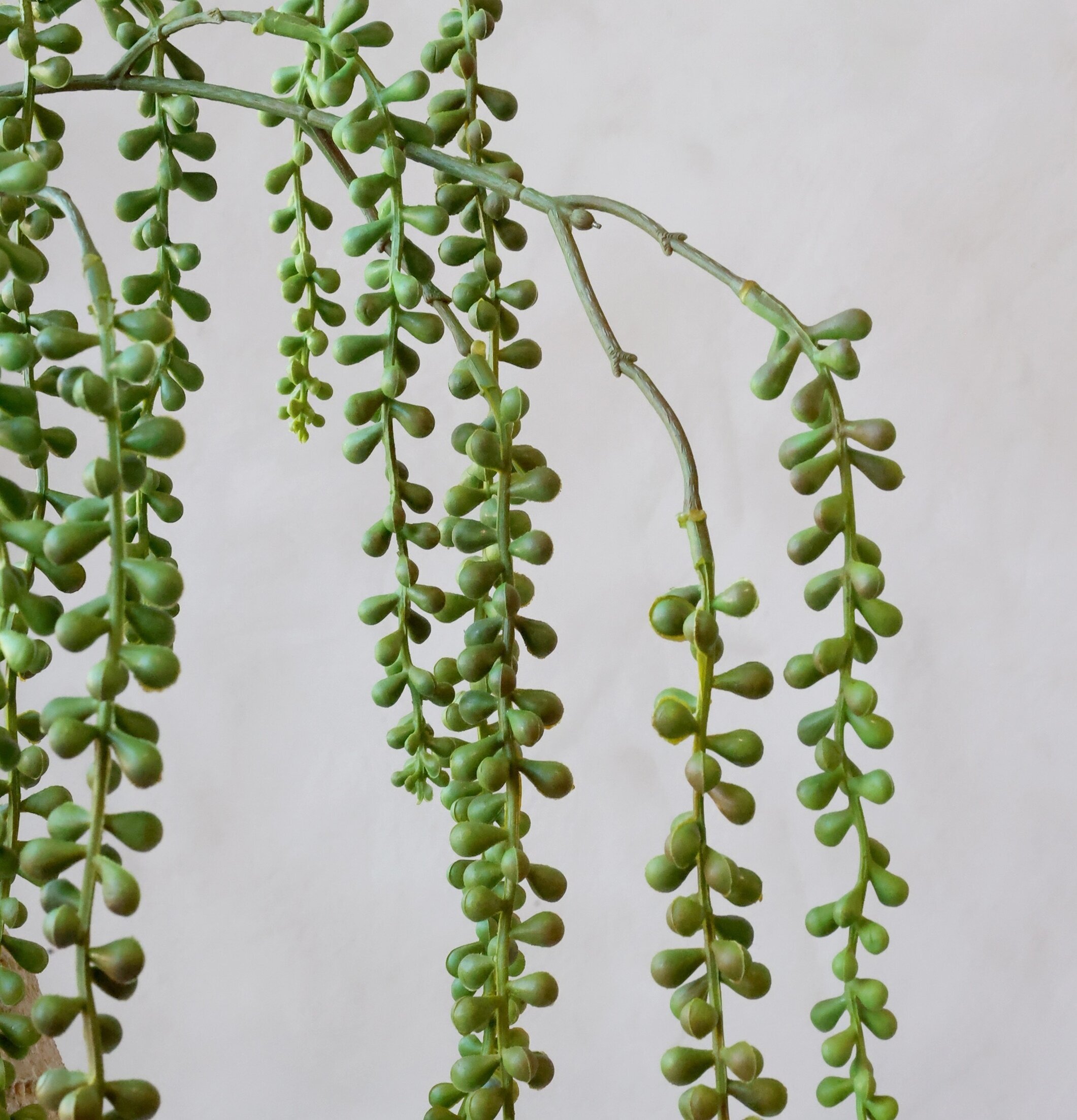 Fleur Pärlband Silk Touch Grön 112 cm Chic Antique Konstväxter Konstblommor Plastväxter Plastblommor