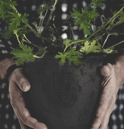 Kruka Grå Mellan från Ernst hålls av person i rutig skjorta