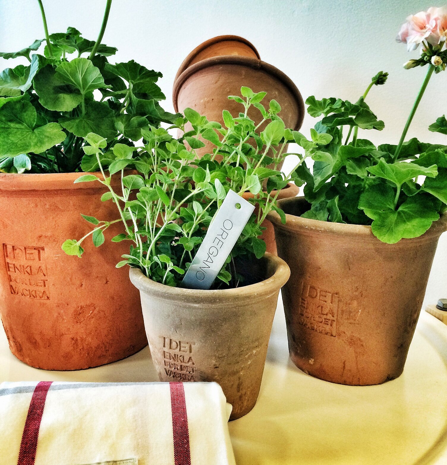 Kruka Terracotta Stor från Ernst med gröna växter och blommor