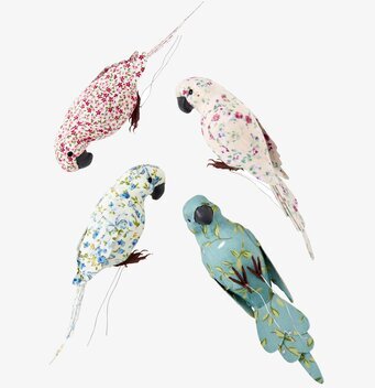 Vackra Undulater från Rice, färgglada dekorativa fåglar