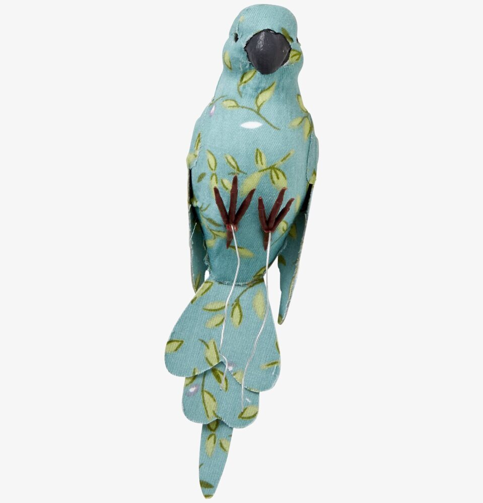 Vackra Undulater från Rice, en färgrik dekorativ fågel