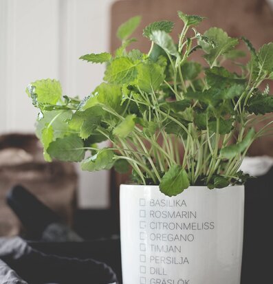 Örtkruka från Ernst i vit keramik med text för örter