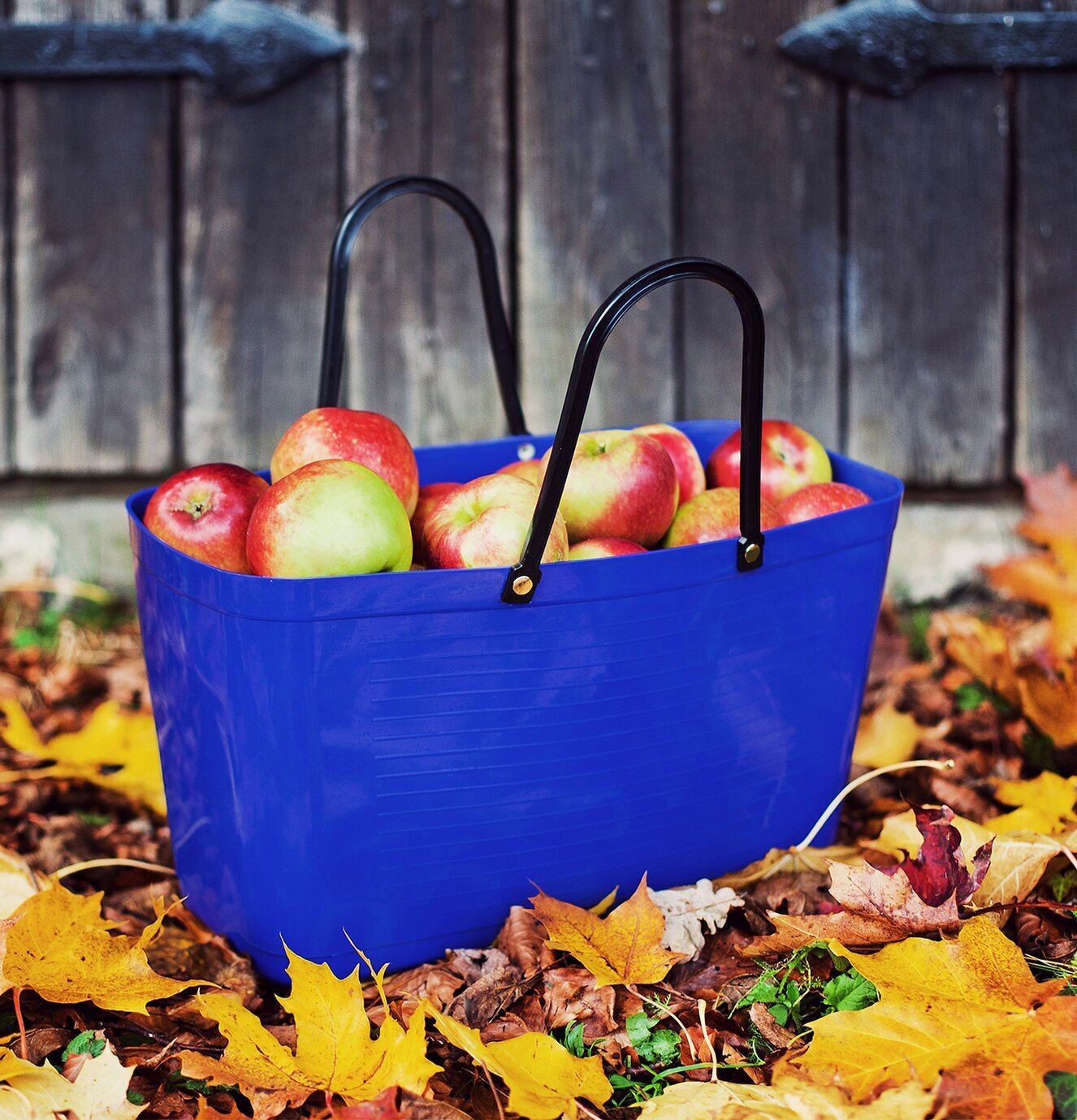 Väska Hinza Svart från Hinza fylld med äpplen i höstmiljö