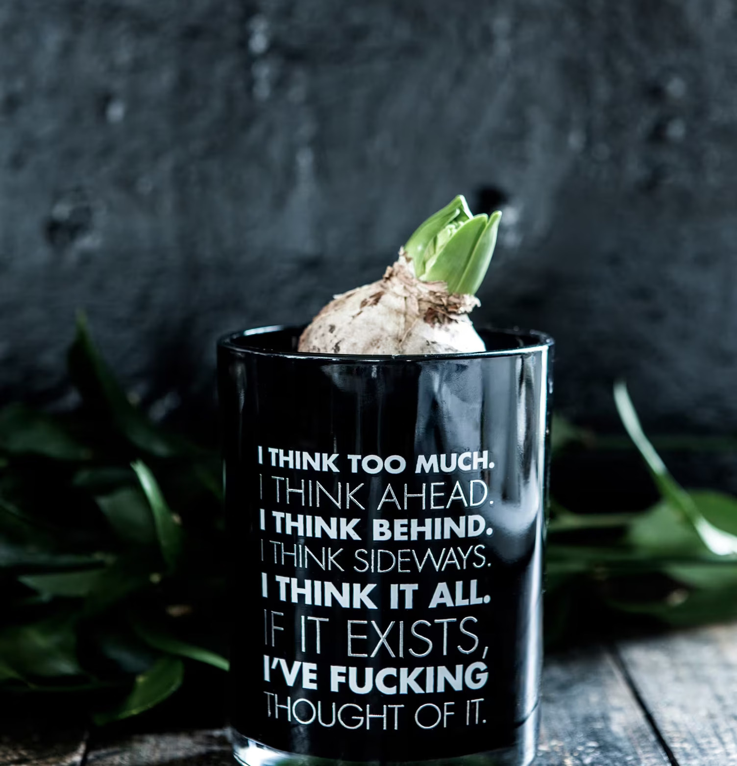 Thoughts - Majas Cottage svart ljuslykta med citat och växt