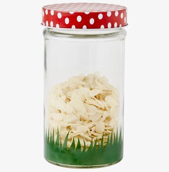 Glasburk Mushroom 600 ml från Rice med prickigt lock