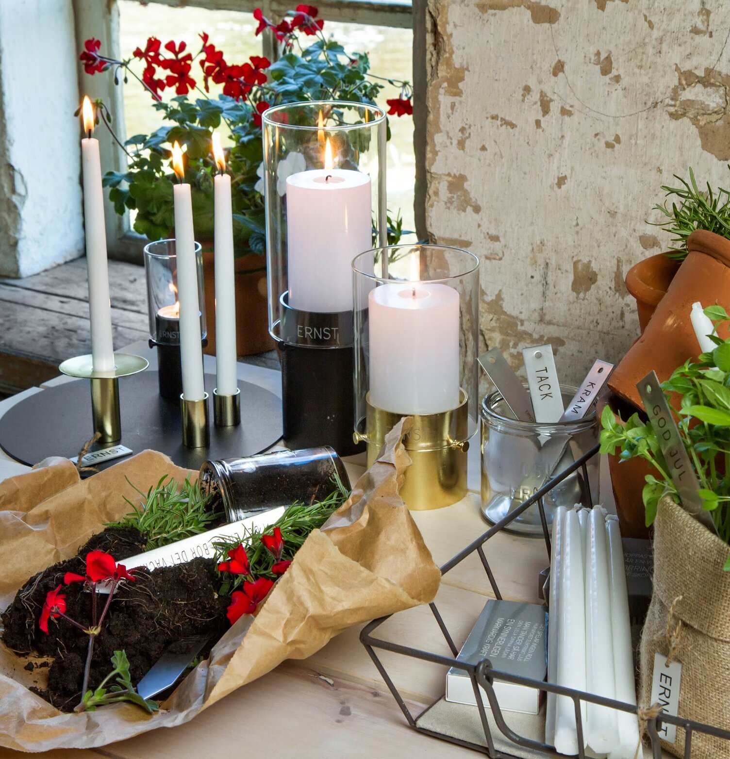 Rund Lykta Svart Låg från Ernst på träbord med växter