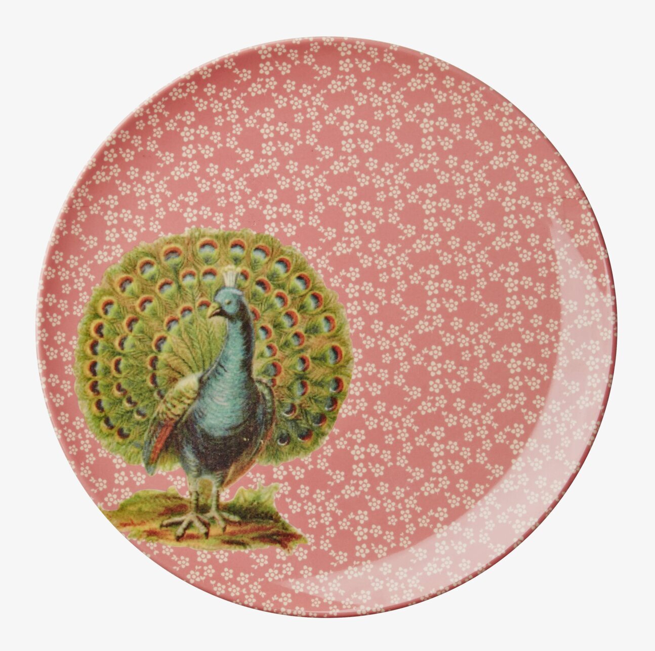 Assiett Peacock Print Corall från Rice med påfågelmotiv