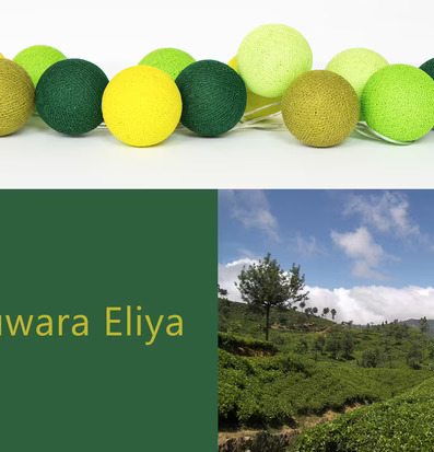 Nuwara Eliya 20 ljusslinga från Happy Lights på vit bakgrund