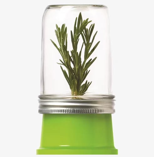 Herb Saver från Ball Mason Jar håller örter färska längre