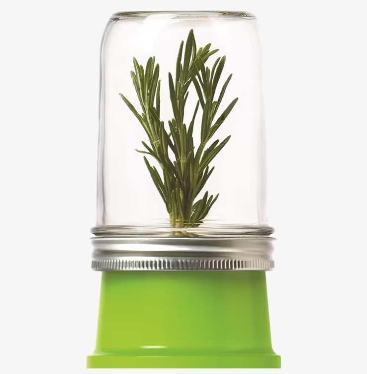 Herb Saver från Ball Mason Jar håller örter färska längre