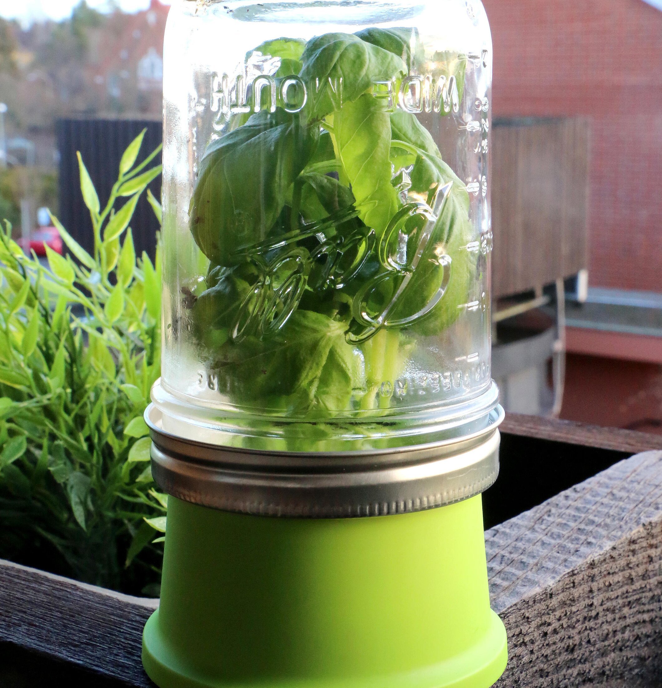Herb Saver från Ball Mason Jar på en balkong med grönska