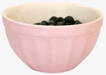 Müsliskål Mynte English Rose från IB Laursen med blåbär