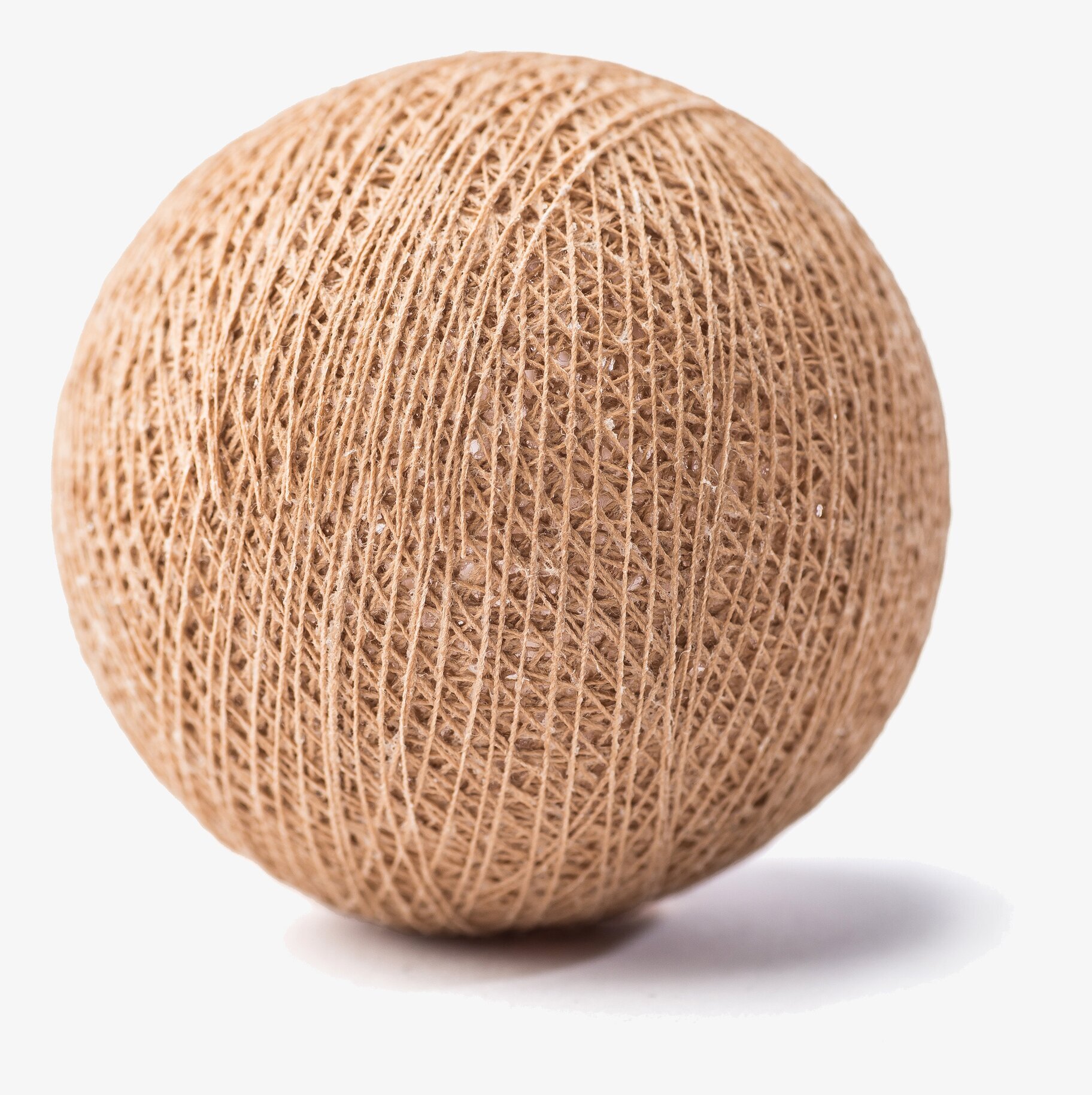 Boll Brun - Vasanthi från Vasanthi på vit bakgrund