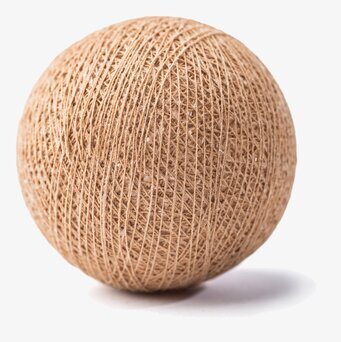 Boll Brun - Vasanthi från Vasanthi på vit bakgrund