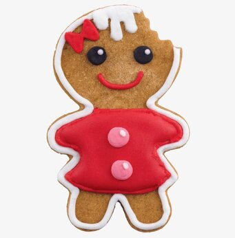 Kakformar Frosted Fun från Wilton med dekorerad pepparkaka