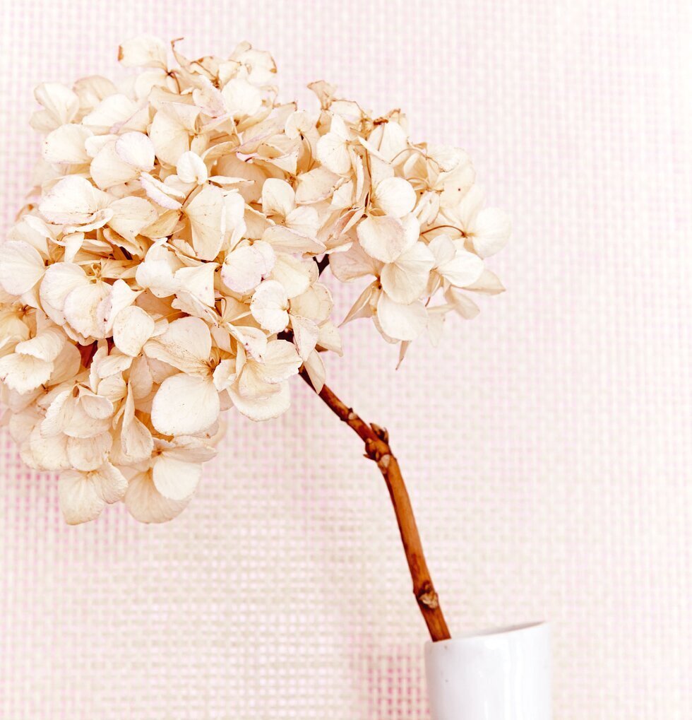 Tapet Rice från Rice med vit vas och torkad blomma